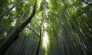 成功案例3